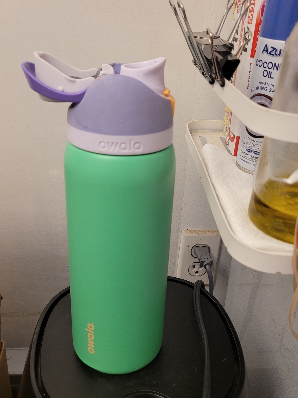 Owala Stainless Steel Water Bottle in Green with Purple Lid 32oz